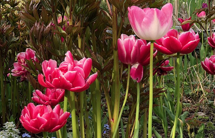 Ein Frühlingstag in Rotterdam - Tagesausflug Samstag 20. April 2024